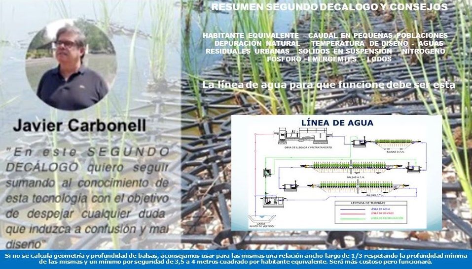 2º decalogo humedales de helofitas en flotación